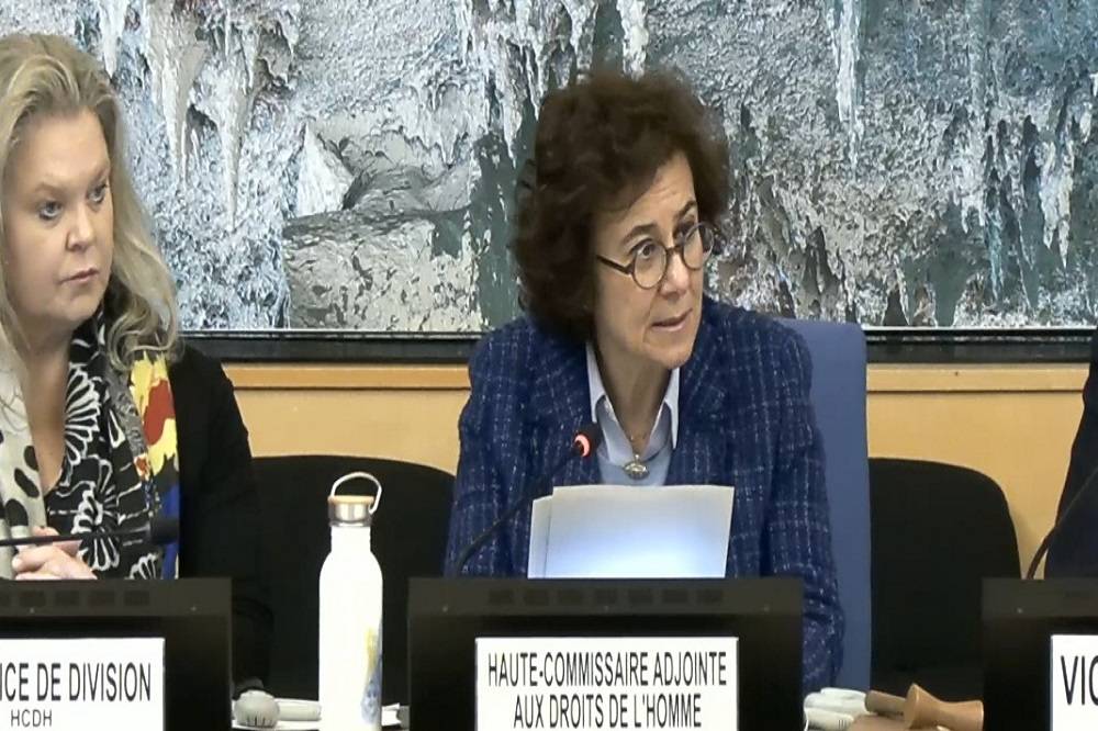 ندى الناشف، نائبة المفوض السامي لحقوق الإنسان