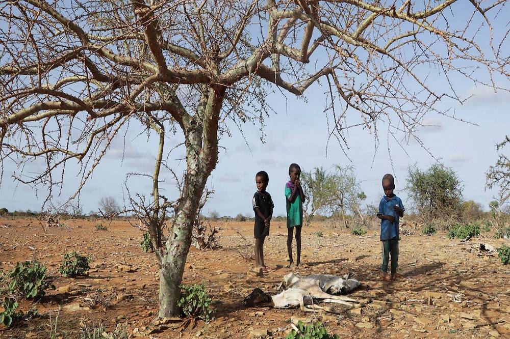 الجفاف يضرب الصومال