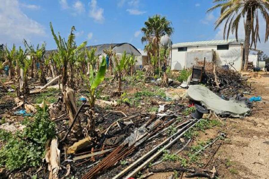 مساحات واسعة من الأراضي الزراعية في جنوب لبنان تضررت نتيجة الحرب