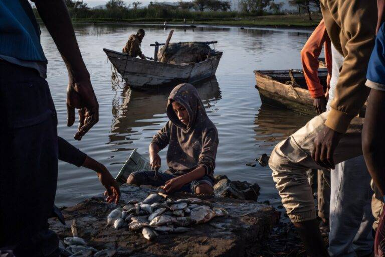 الصيادون في السابق كانوا يصطادون ما بين 20 إلى 30 سمكة يوميا، بينما انخفض هذا العدد حالياً إلى 2 أو 3 أسماك فقط في أفضل الأحوال
