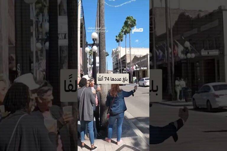 أكثر من 2700 تحقيق نشط في الإرهاب الداخلي حتى عام 2025