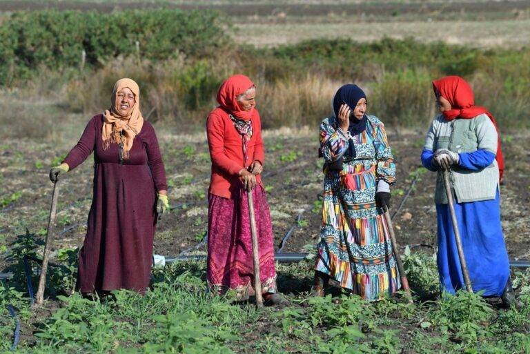 المرأة الريفية لا تحصل على حقوقها رغم وجود القوانين