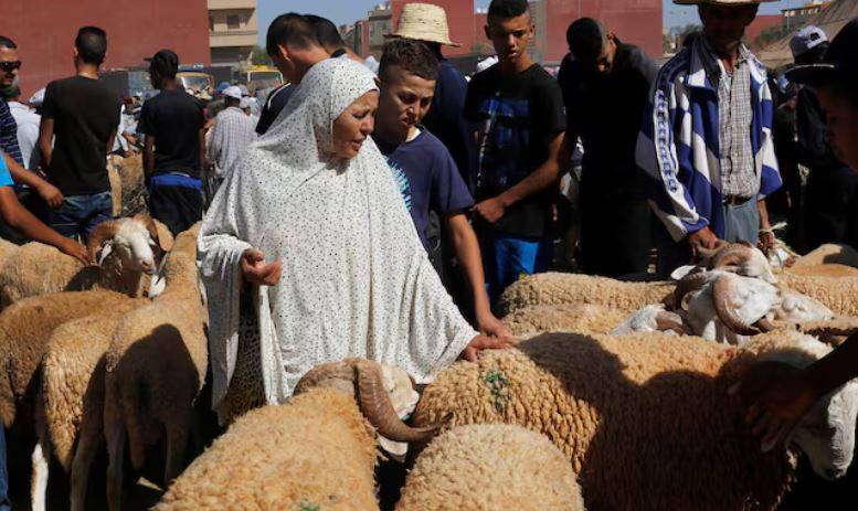 امرأة تتسوق في سوق الماشية، قبيل عيد الأضحى في مدينة وجدة المغربية