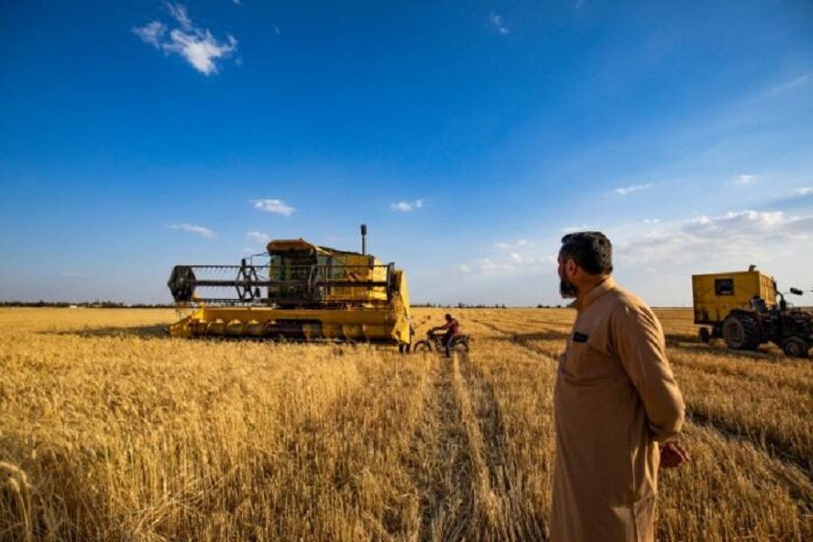 انهيار الزراعة في سوريا يثير القلق