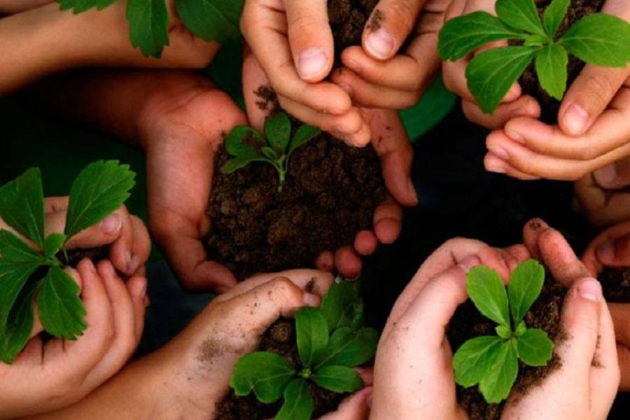 نسخة 2026 من يوم البيئة العالمي تركز على تغير المناخ
