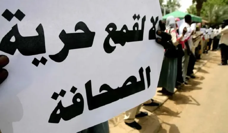 قوانين مكافحة الجرائم الإلكترونية تكبل الصحفيين