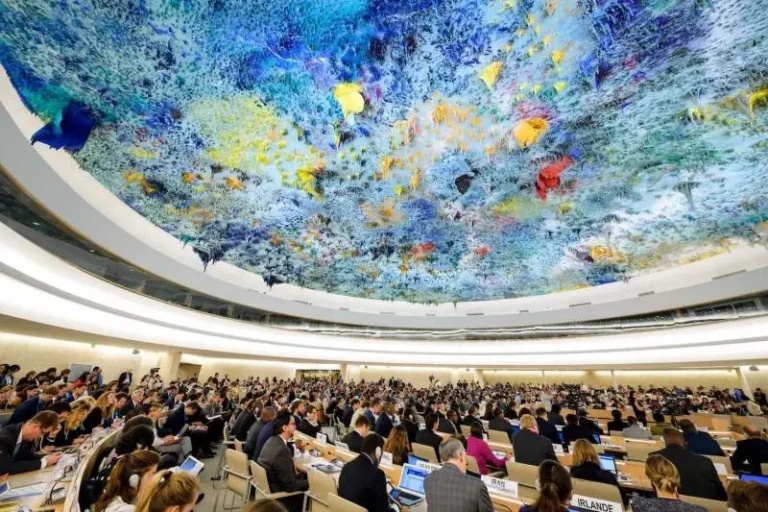 مجلس حقوق الإنسان التابع للأمم المتحدة
