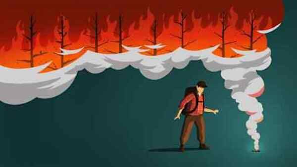 صورة تعبيرية لمشكلة حرائق الغابات بسبب تغير المناخ