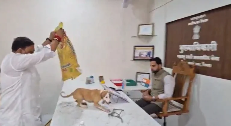 الهند.. محتجون على الكلاب الضالة يضعون جروين على مكتب مسؤول