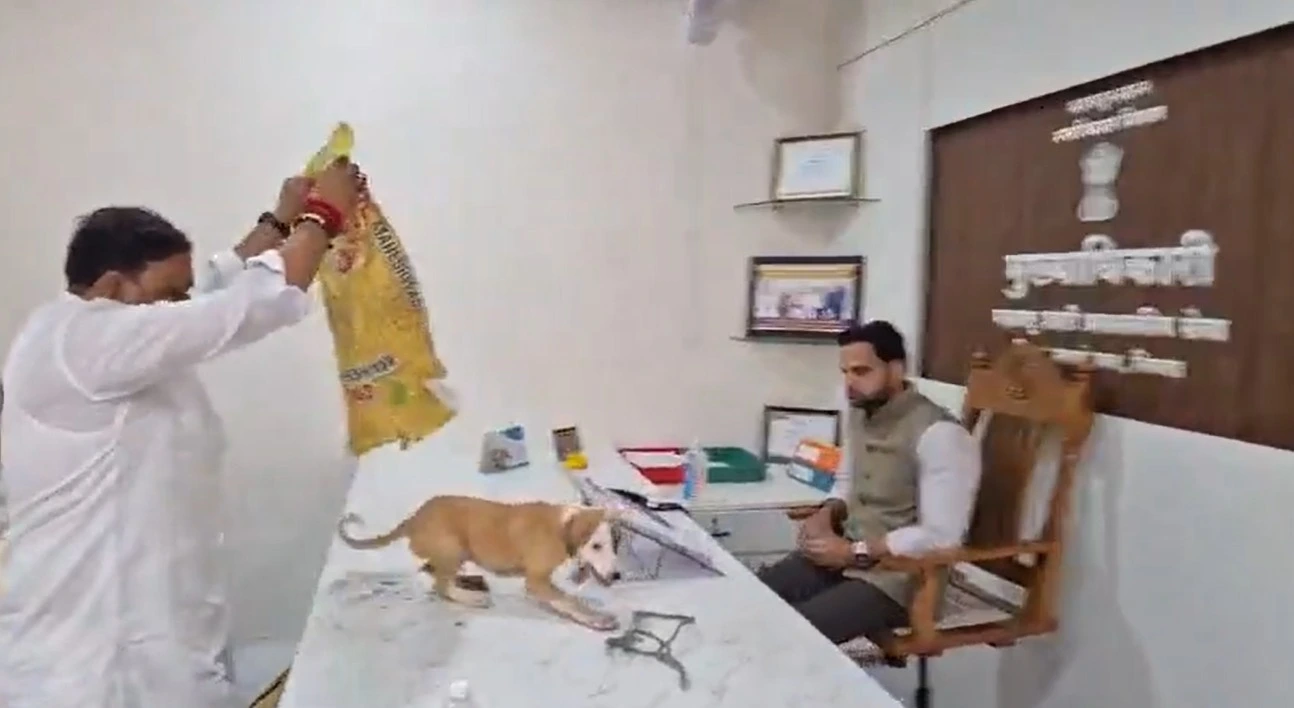 الهند.. محتجون على الكلاب الضالة يضعون جروين على مكتب مسؤول