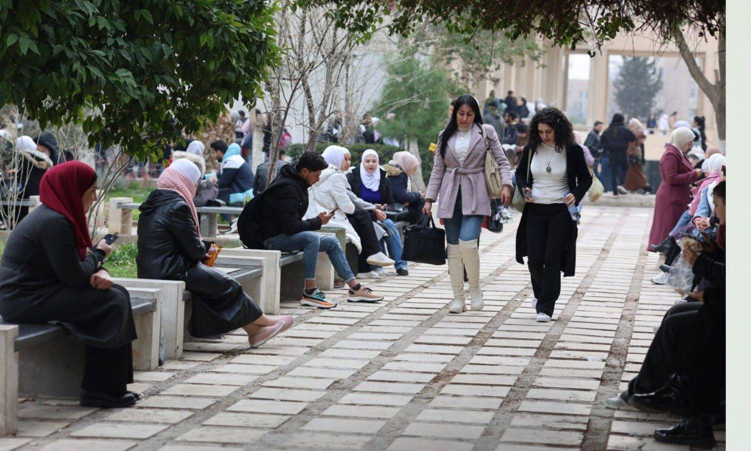 سوريا.. شروط جامعية تثير الجدل بسبب قصر بعض التخصصات للذكور